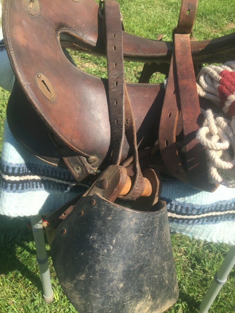 mcclellan cavalry saddle 12 In Seat