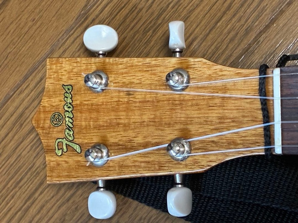 Famous FS-5G (good condition)