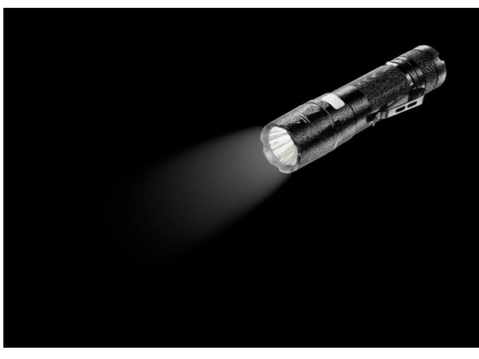 Insignia- 350 Lumen LED Flashlight