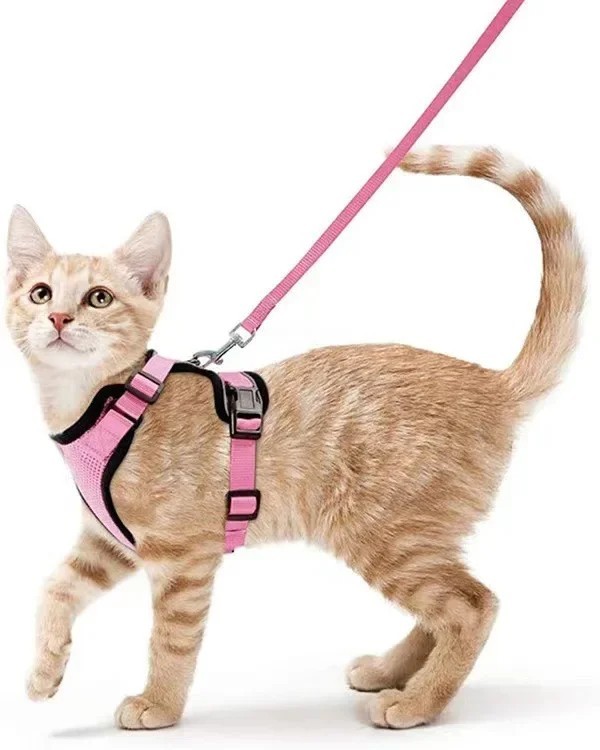 Pet Cat Harness Vest Walking Lead Leash for Cat Puppy Dogs Collar Adjustable