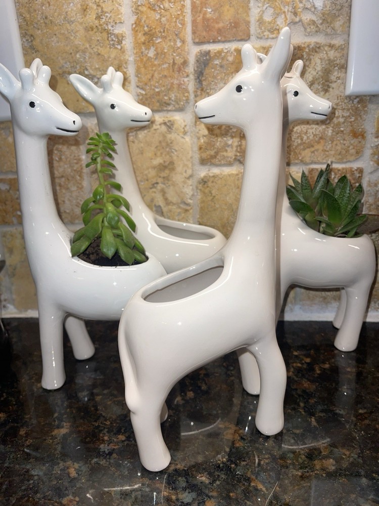 9.5 Inch Ceramic Giraffe Planter