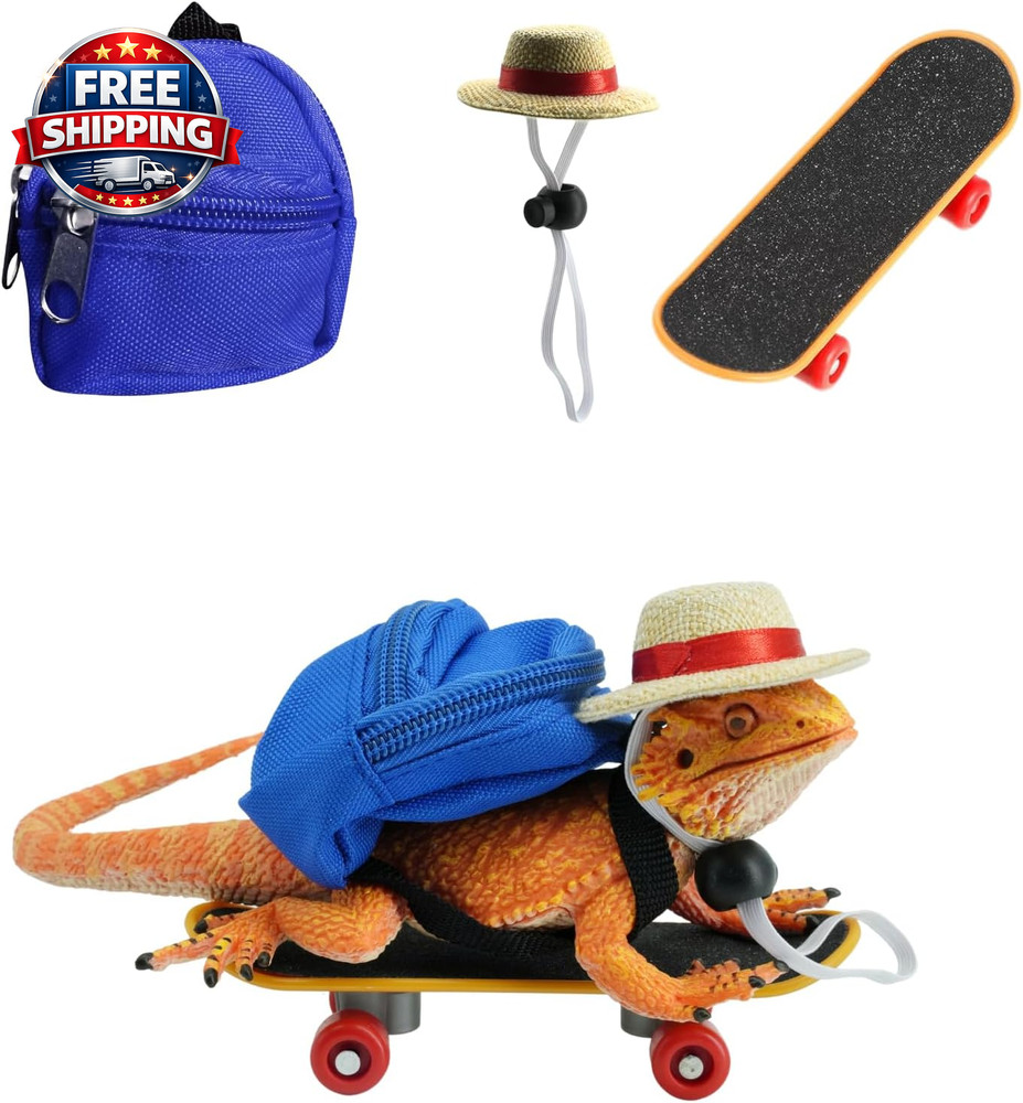 3 Pack Lizard Accessories: Backpack, Hat & Skateboard for Small Pets