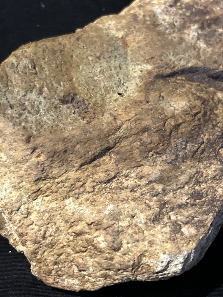 Quartz Matrix Hydrothermal Alteration Silification Sulfide Ore Copper Gold