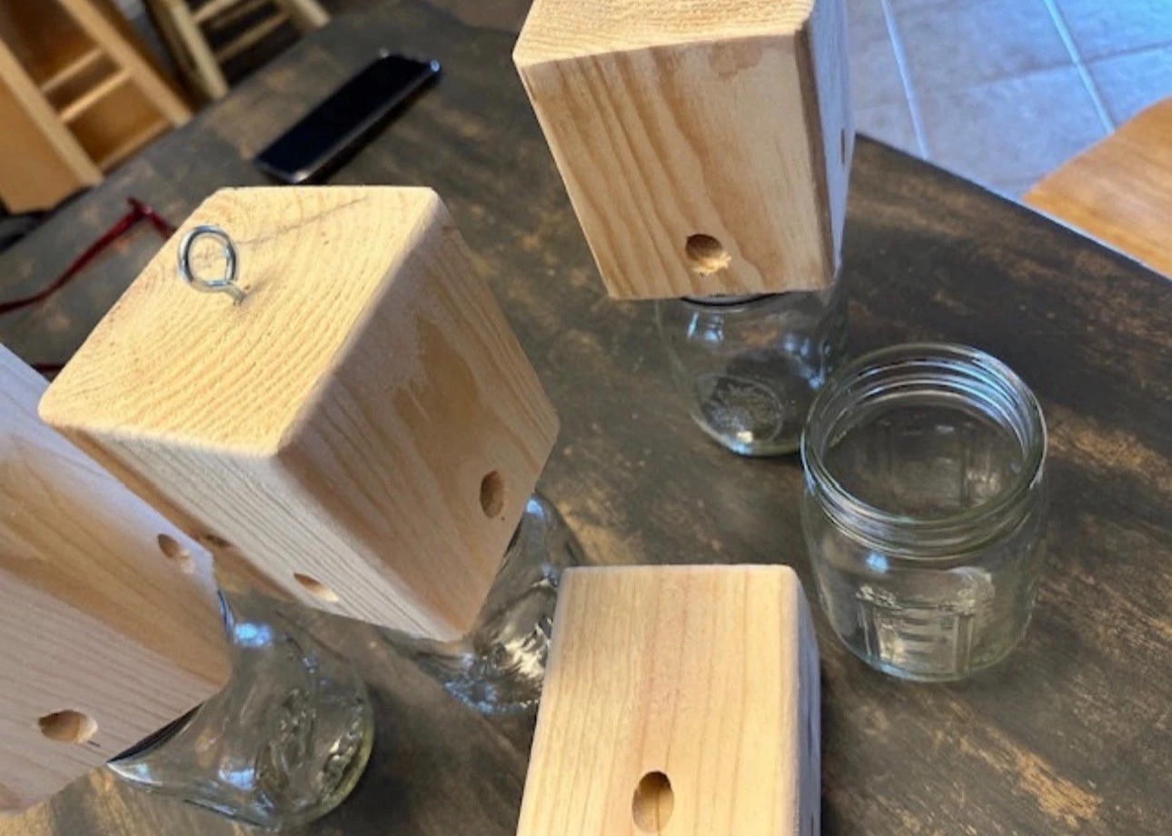 Carpenter Bee Trap (CHOICE of 1, 2 or 4 Pack!) Boring Bees Soft Wood Ball Mason!