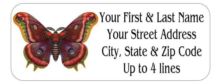 150 Pretty Butterfly Mailing Return Address Labels Personalized  1 x 2 5/8 in.