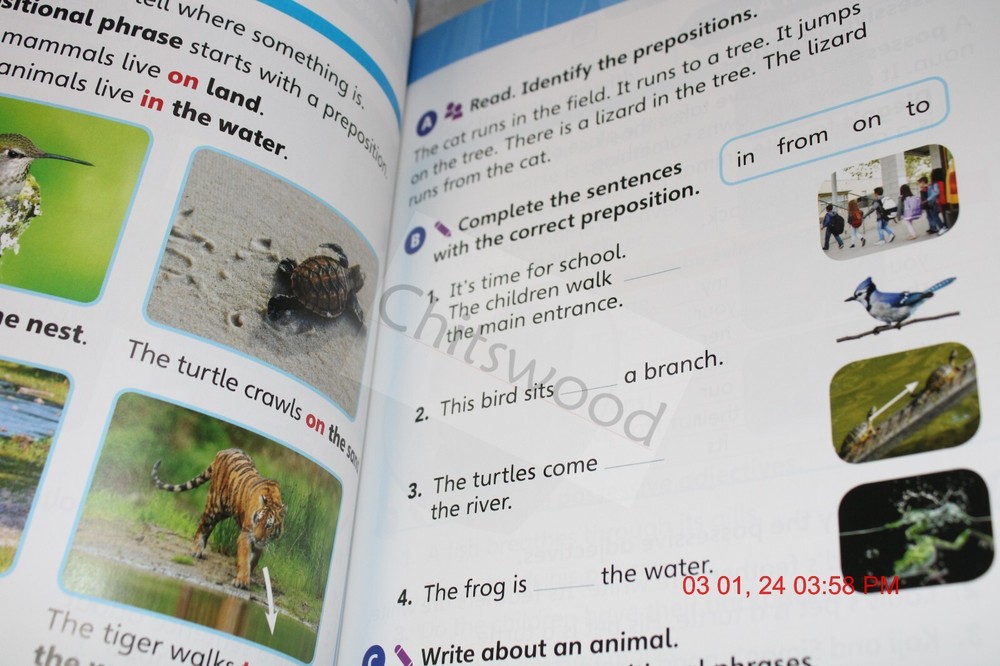 Connect 2 - Language, Literacy, Content + Free Shipping!