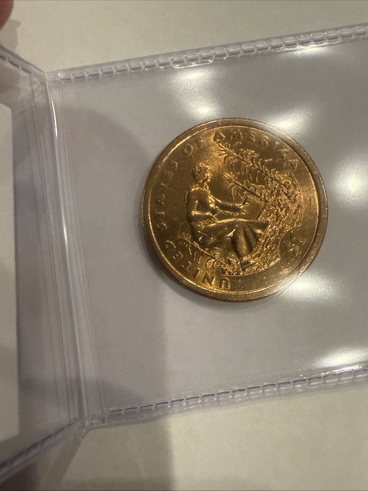 2009 D Sacagawea Native American Dollar 🔥🔥🔥