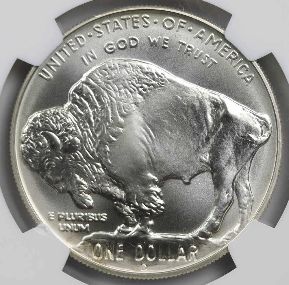 2001-D Buffalo Modern Silver Commemorative $1 MS 69 NGC