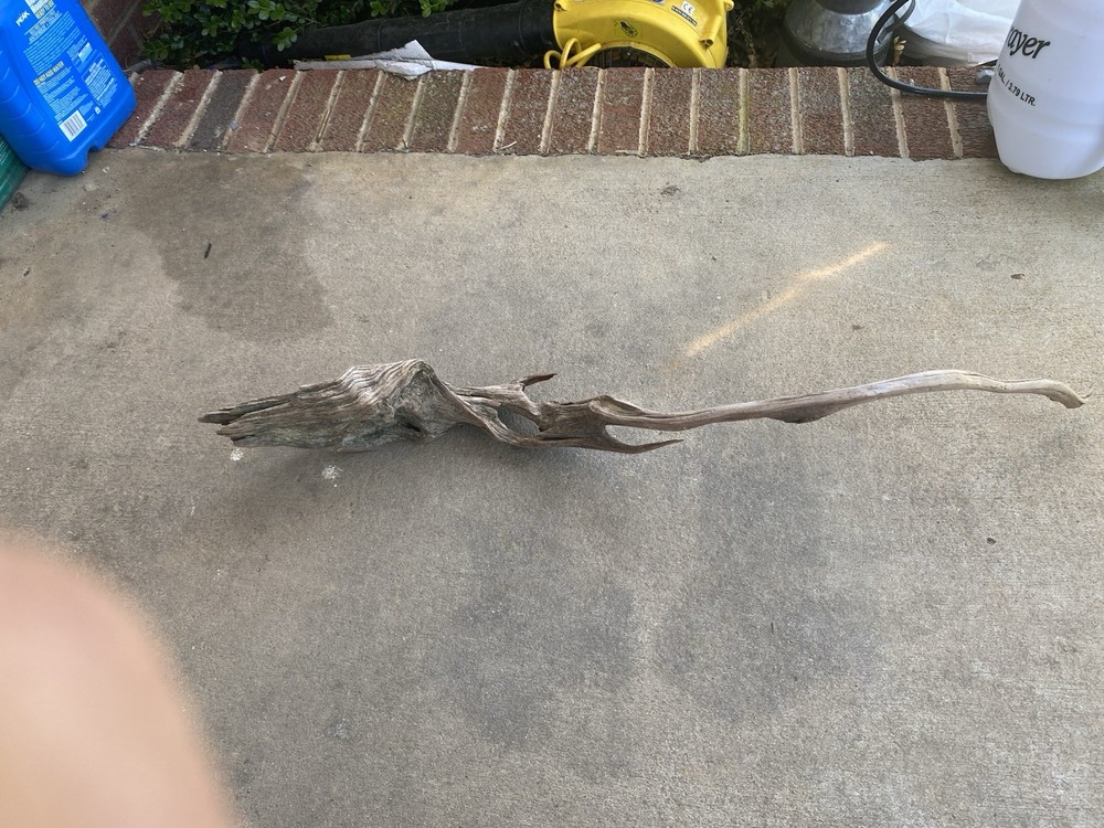 Driftwood
