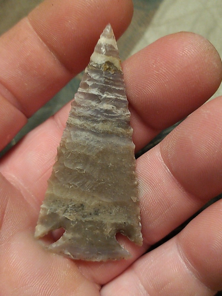Corner Notch Dolphite 2 1/2" x 1 1/8"