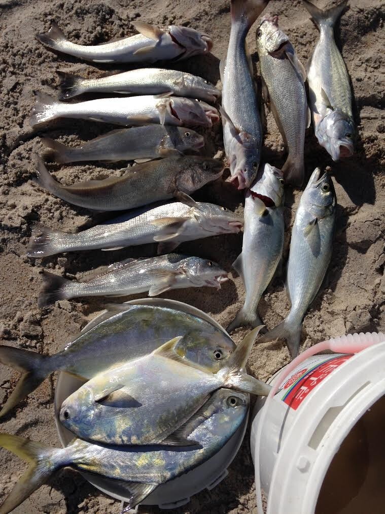 15 Surf Fishing Rigs Hi-Low Rigs Pompano Whiting Snappers Drum Spots Croakers