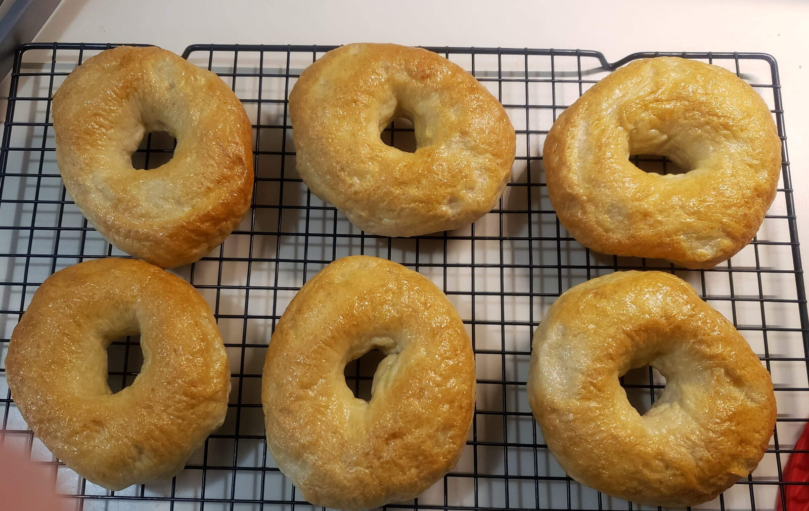 San Francisco SOURDOUGH STARTER WELL OVER 220 YRS OLD VERY STRONG VERY SOUR