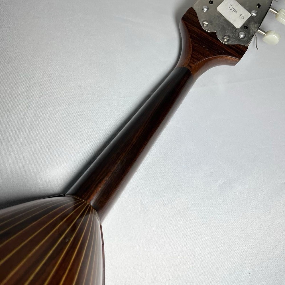 Mandolin Raffaele Calace Type15 raffaele calace