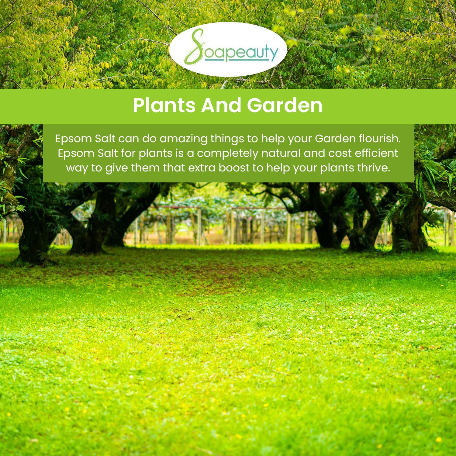 Soapeauty Epsom Salt (Magnesium Sulfate) 100% pure natural USP grade