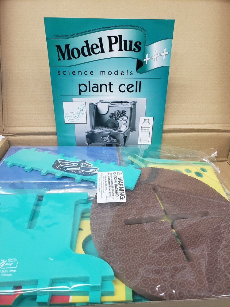 Ricky & Gang Model Plus: Plant Cell