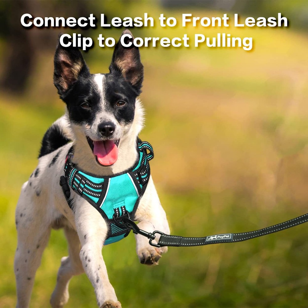PoyPet No Pull Dog Harness, Choke Front Clip Extra Large, Mint Blue