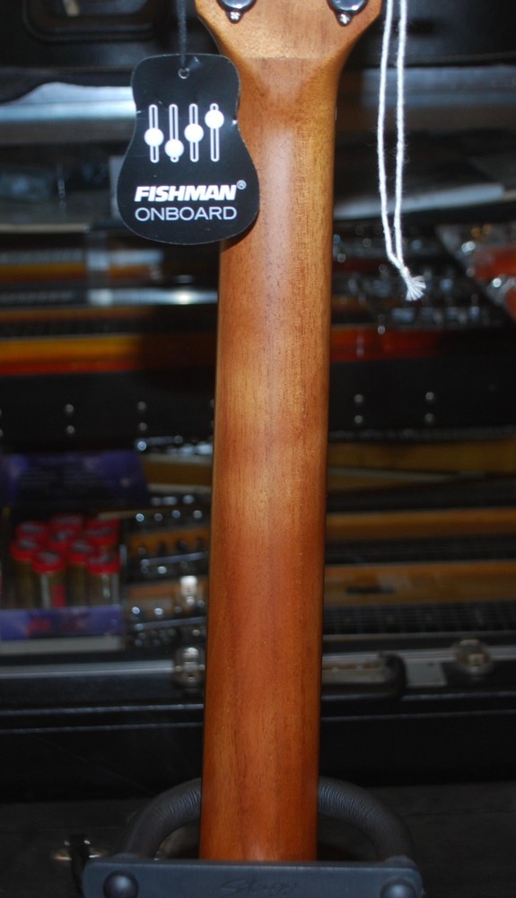 Teton STS 100 CENT Guitar