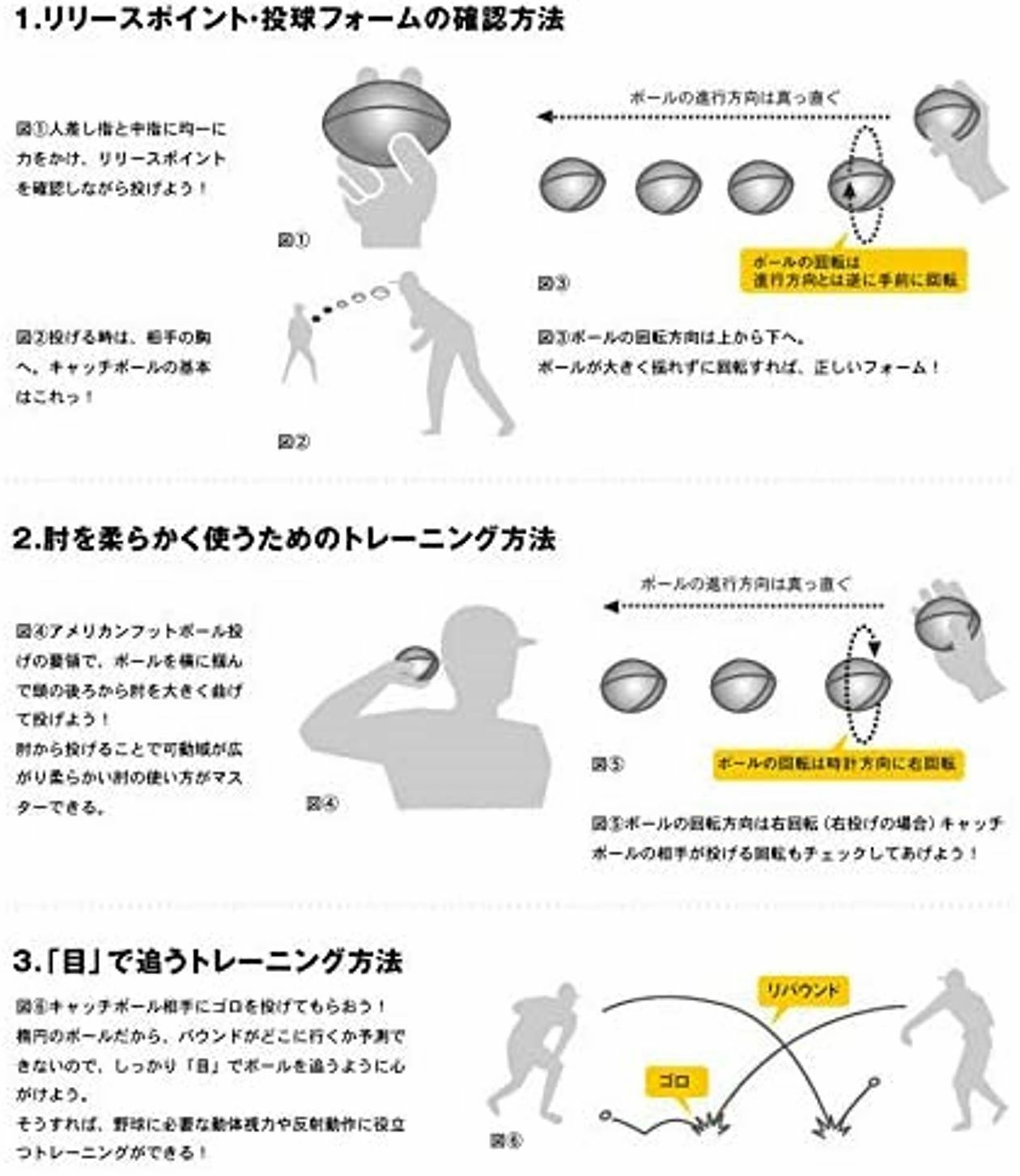 SSK Baseball Training Equipment 3WAY Training Ball Natural Leather GTR3WB