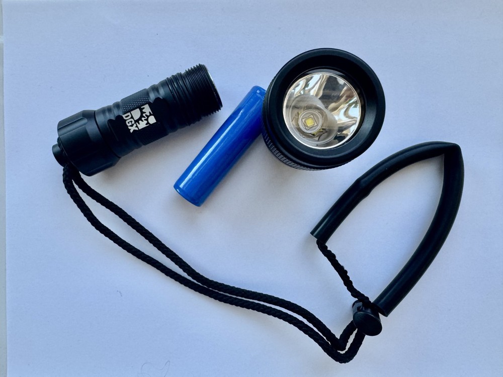 DGX 600 TWIST Handheld Light