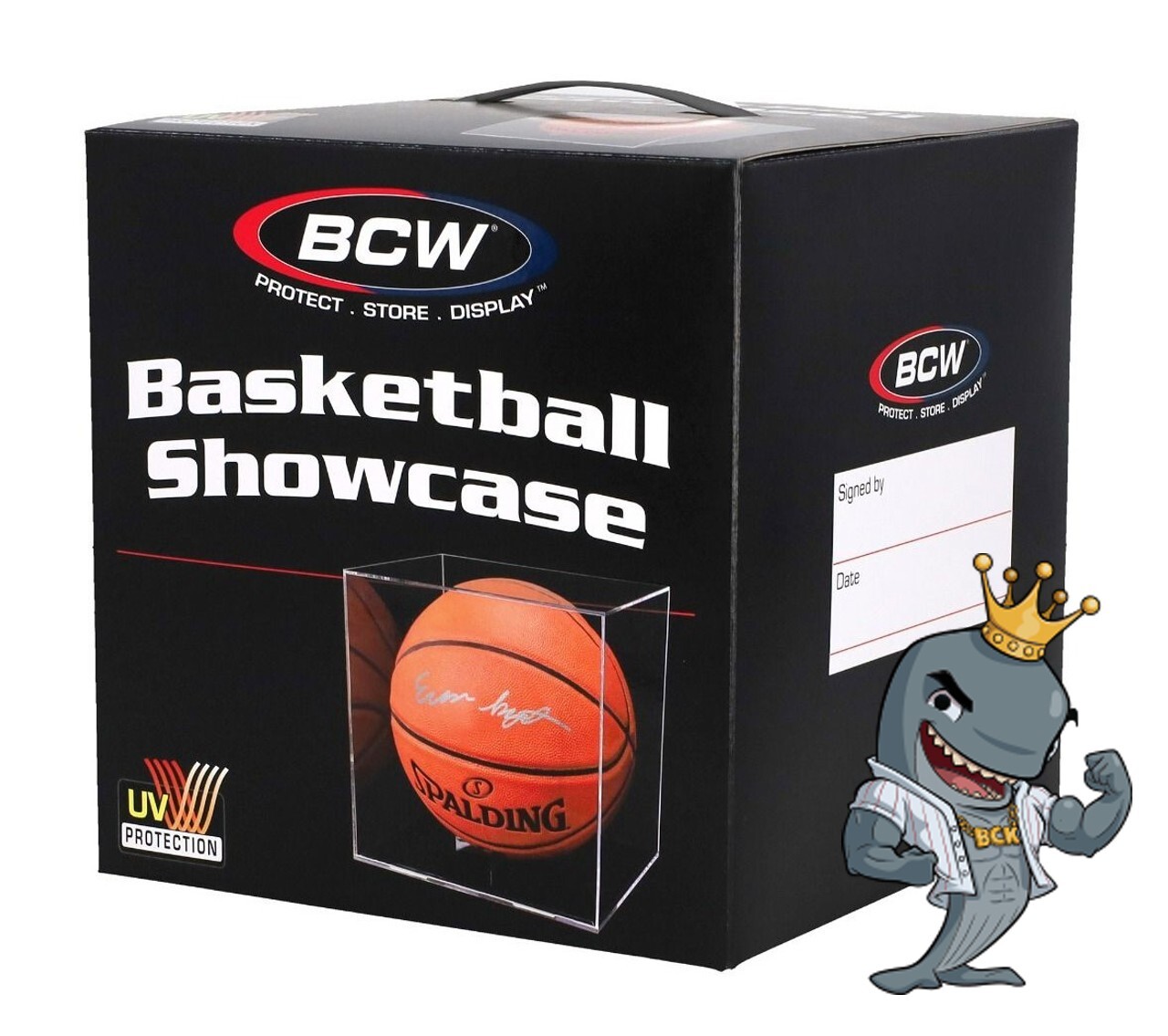 BCW Basketball Showcase with Stand & UV FREE SHIP