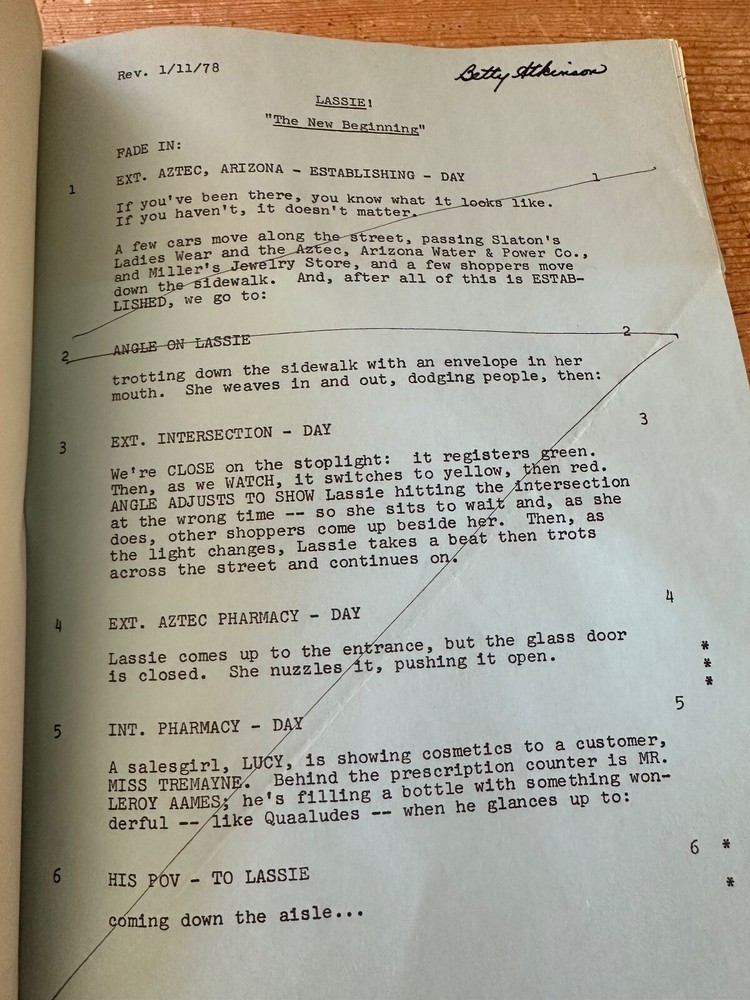 Lassie: A New Beginning TV MOVIE SCRIPT SCREENPLAY