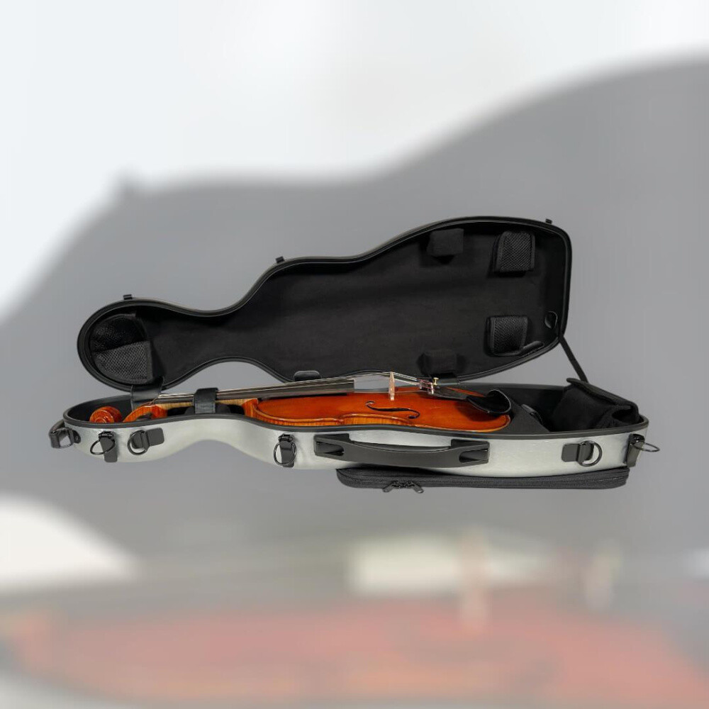 Petz CSV11 Case (Case) for 4/4 Violin (Violin), Silver