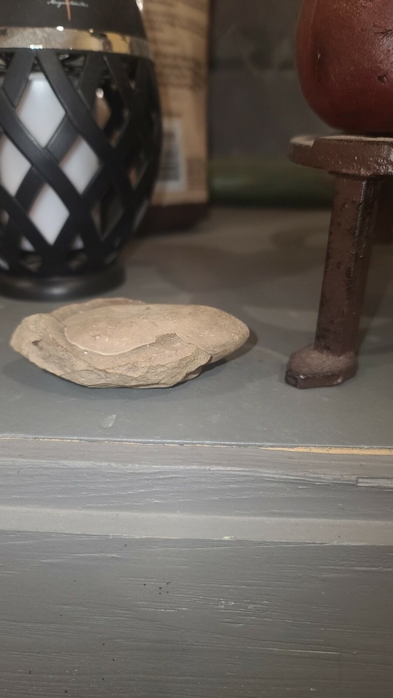Stone (oval) embedded inside of shale