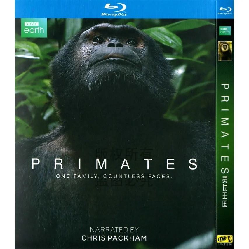 Primates (2020) 1-D