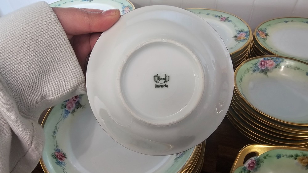 Thomas Bavaria German Hand Painted 57 Piece Dish Set