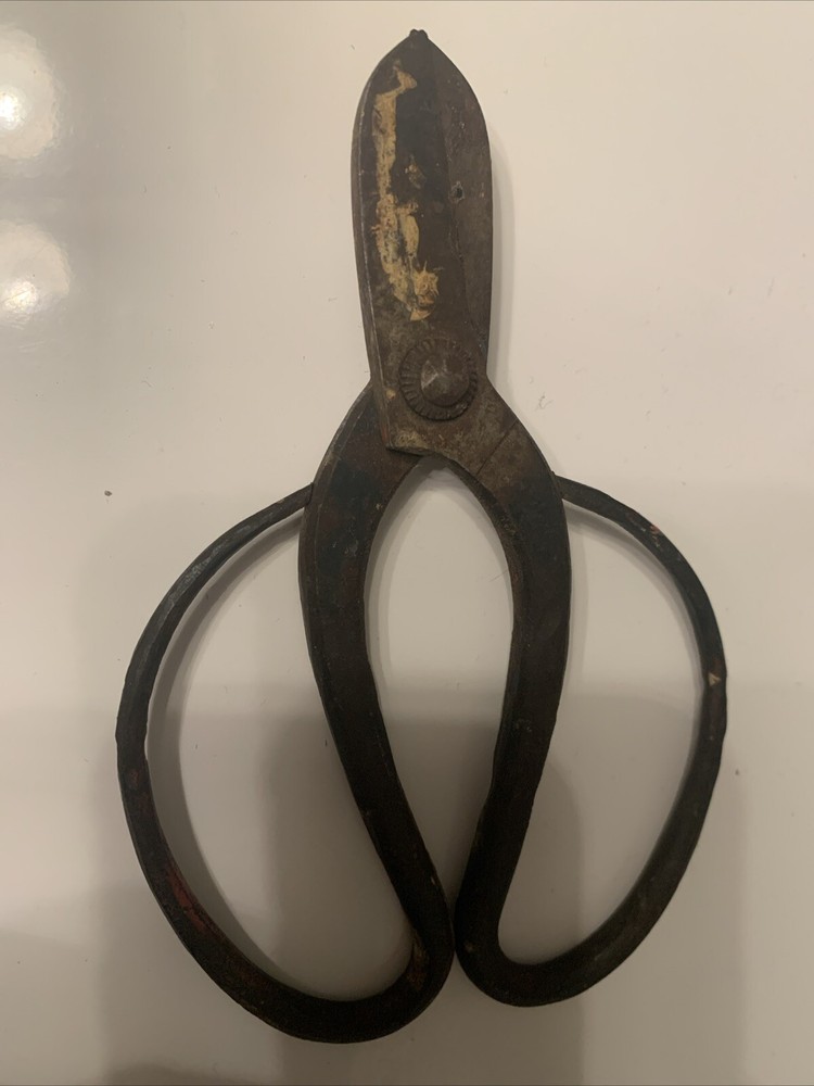 Vintage Forged Bonsai Garden Scissors