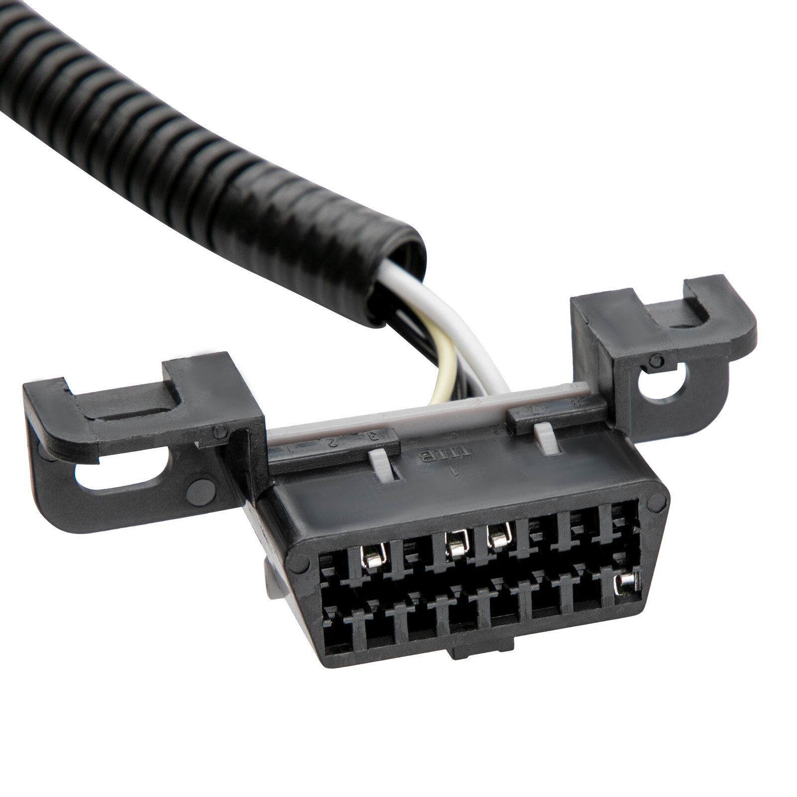 Standalone Harness For T56 Manual Tran 4.8/5.3/6.0l Ls Swap Ls1 Engine 97-06 Dbc