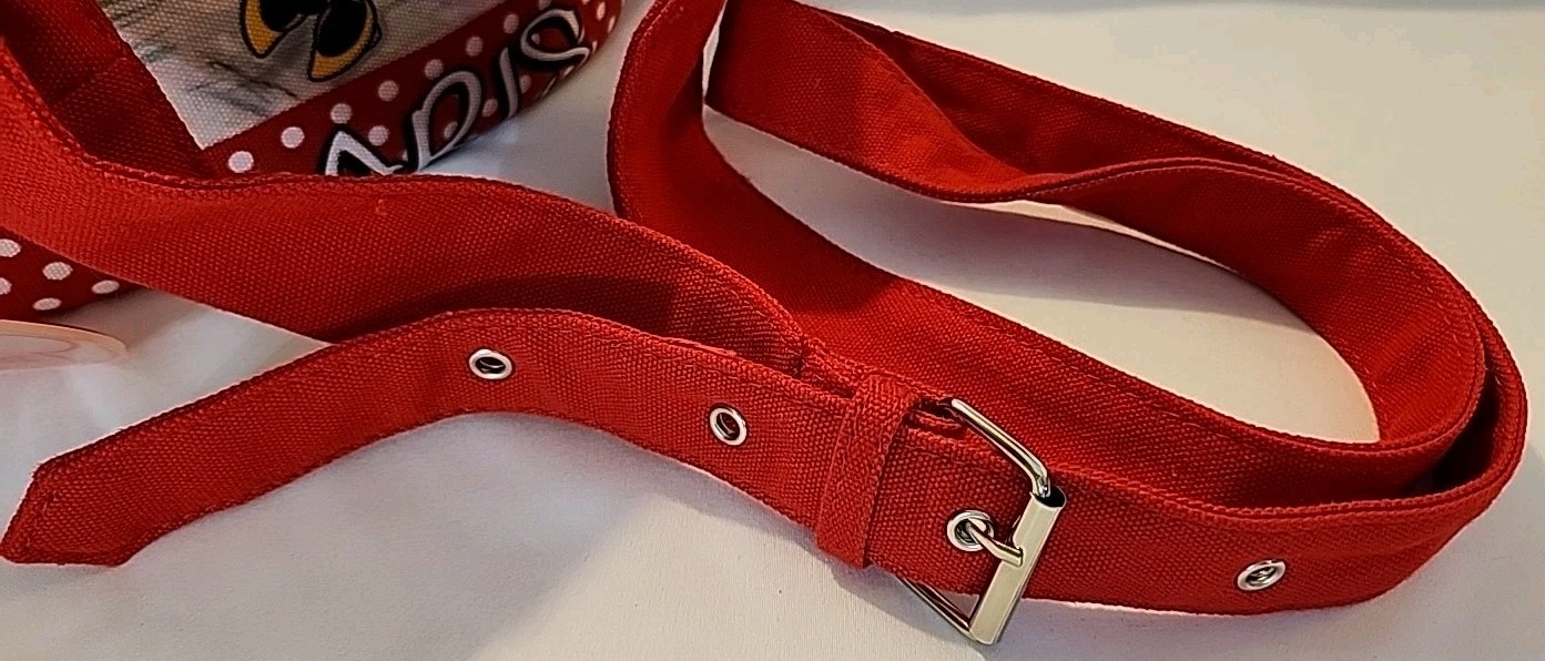 Robin Ruth x Disney Paris Mickey & Minnie Mouse Red Polka Dot Crossbody Bag EC