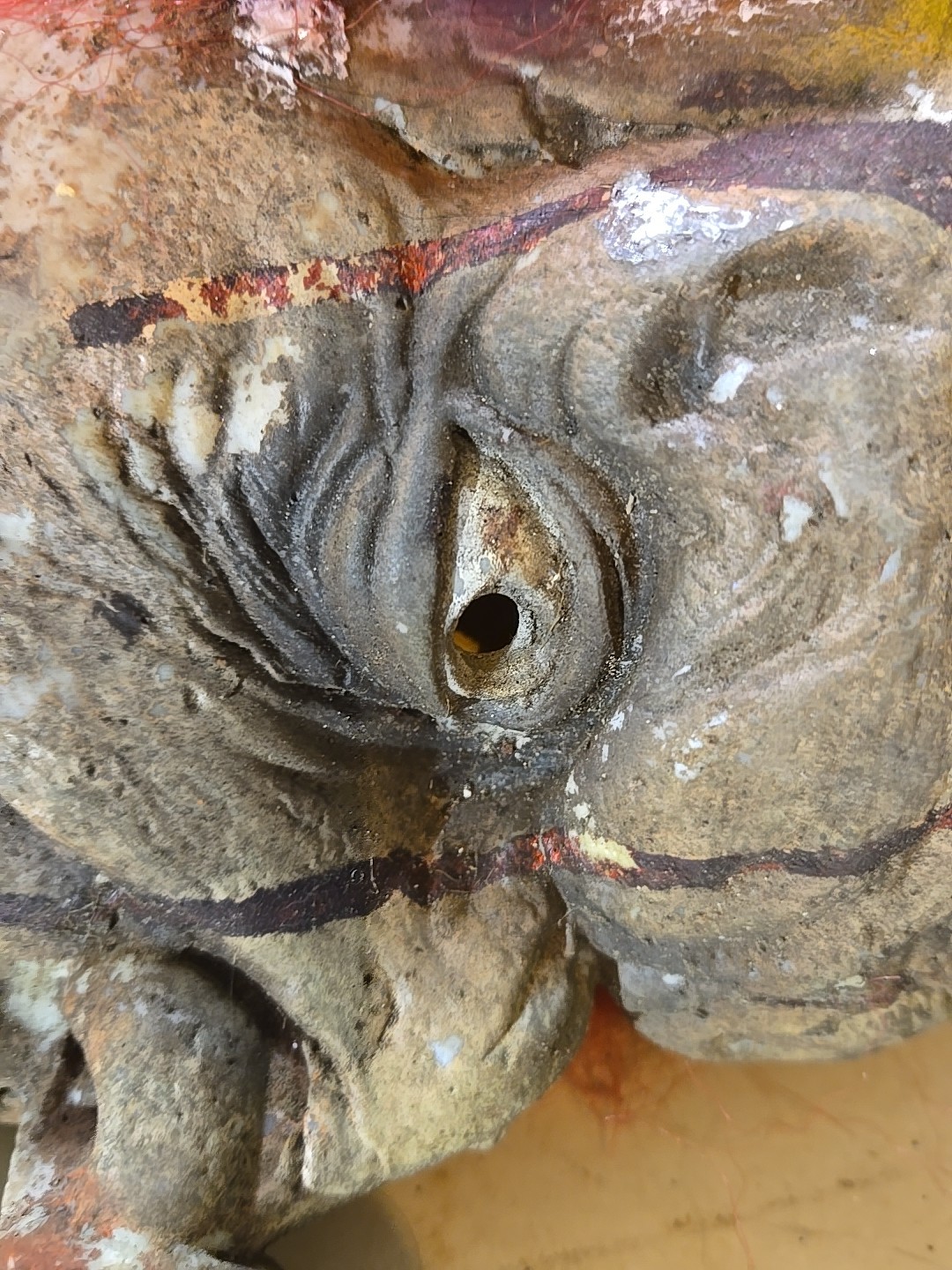 Life Size Decapitated Severed Realistic CLOWN HEAD Halloween Prop Decoration