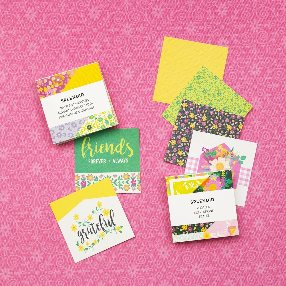 Paige Evans Splendid Mini Swatch Books 2"X2" 72/Pkg-Pattern & Phrase, 36 Sheets