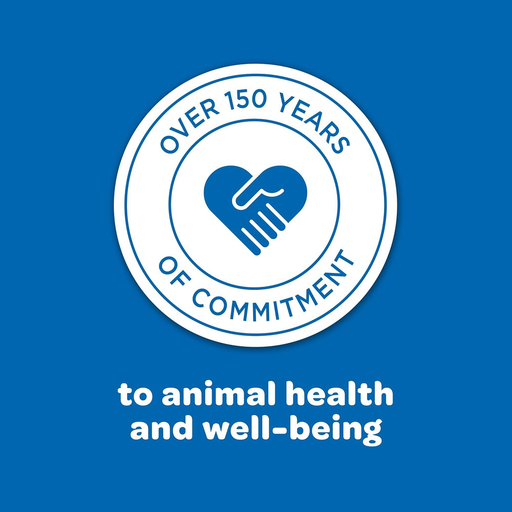 Corn on the Cob, 6.5 Lb