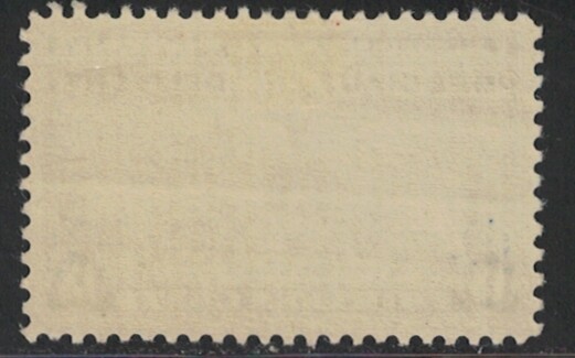 Scott E17 Special Delivery Stamp - VF - MH