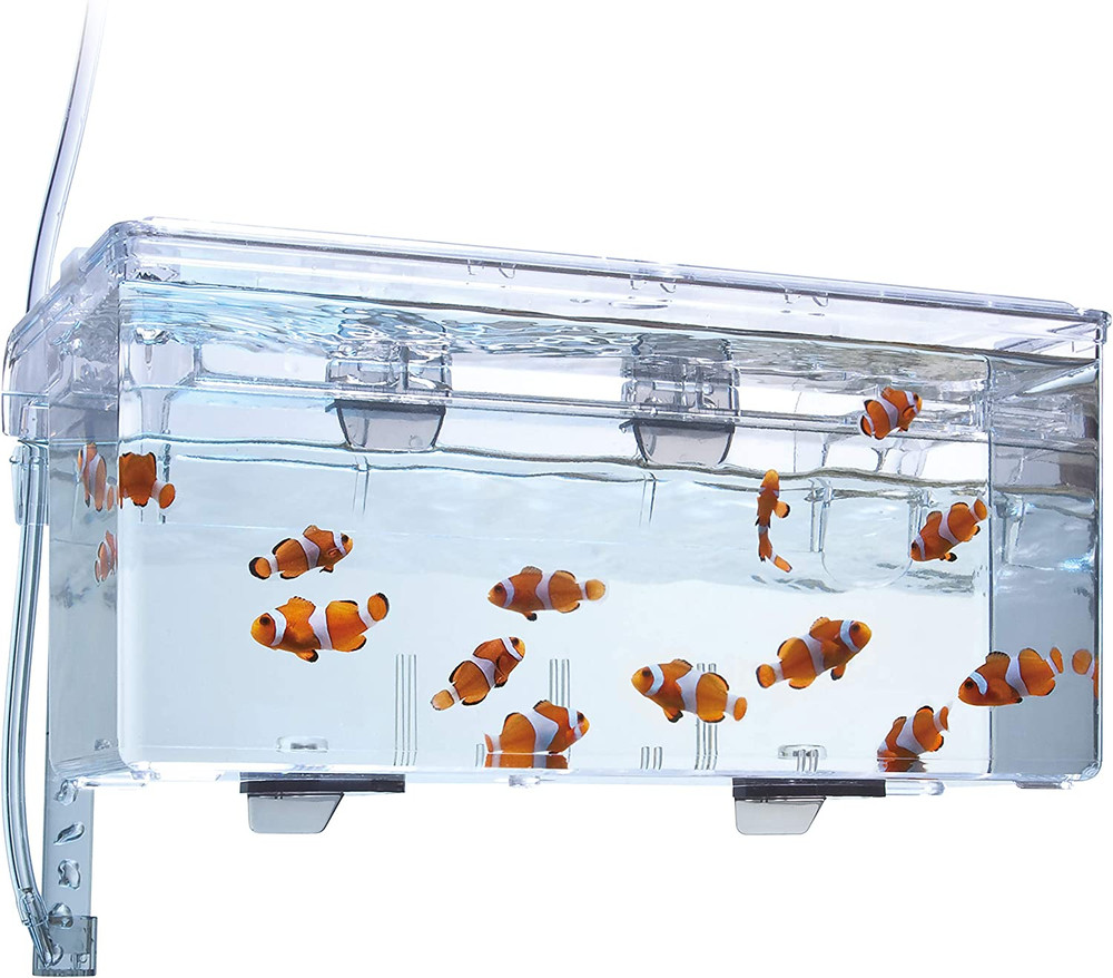Fluval Multi-Chamber Holding and Breeding Box, Large