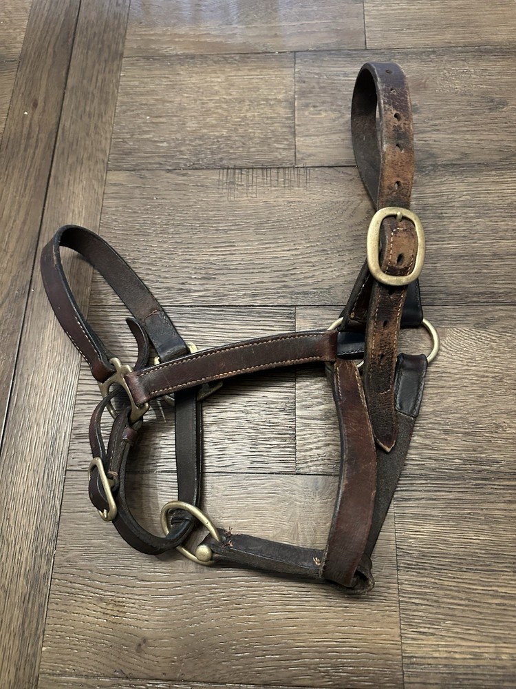 Horse Tack - Leather Track Halter