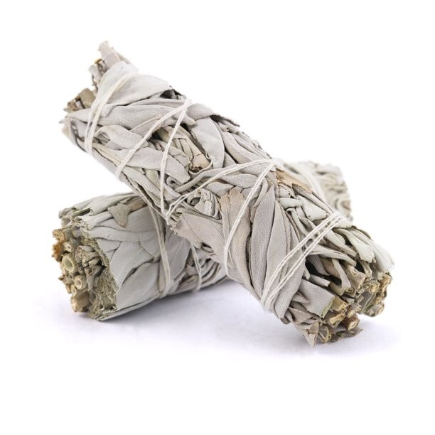 10 Pack 4 inch White Sage Smudge Sticks and Smudge Guide for Cleansing Spaces