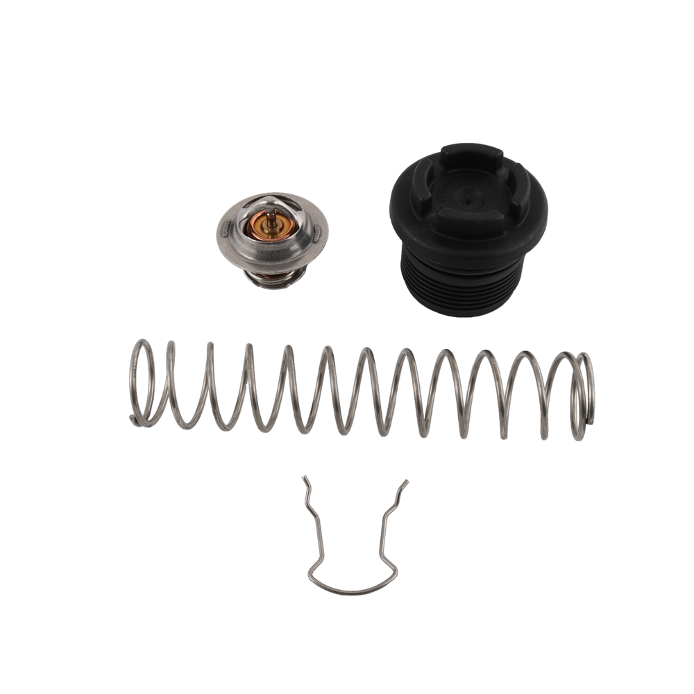 Thermal Regulator Kit 77707-0010 For Pentair Sta-Rite Max-E-Therm Heaters