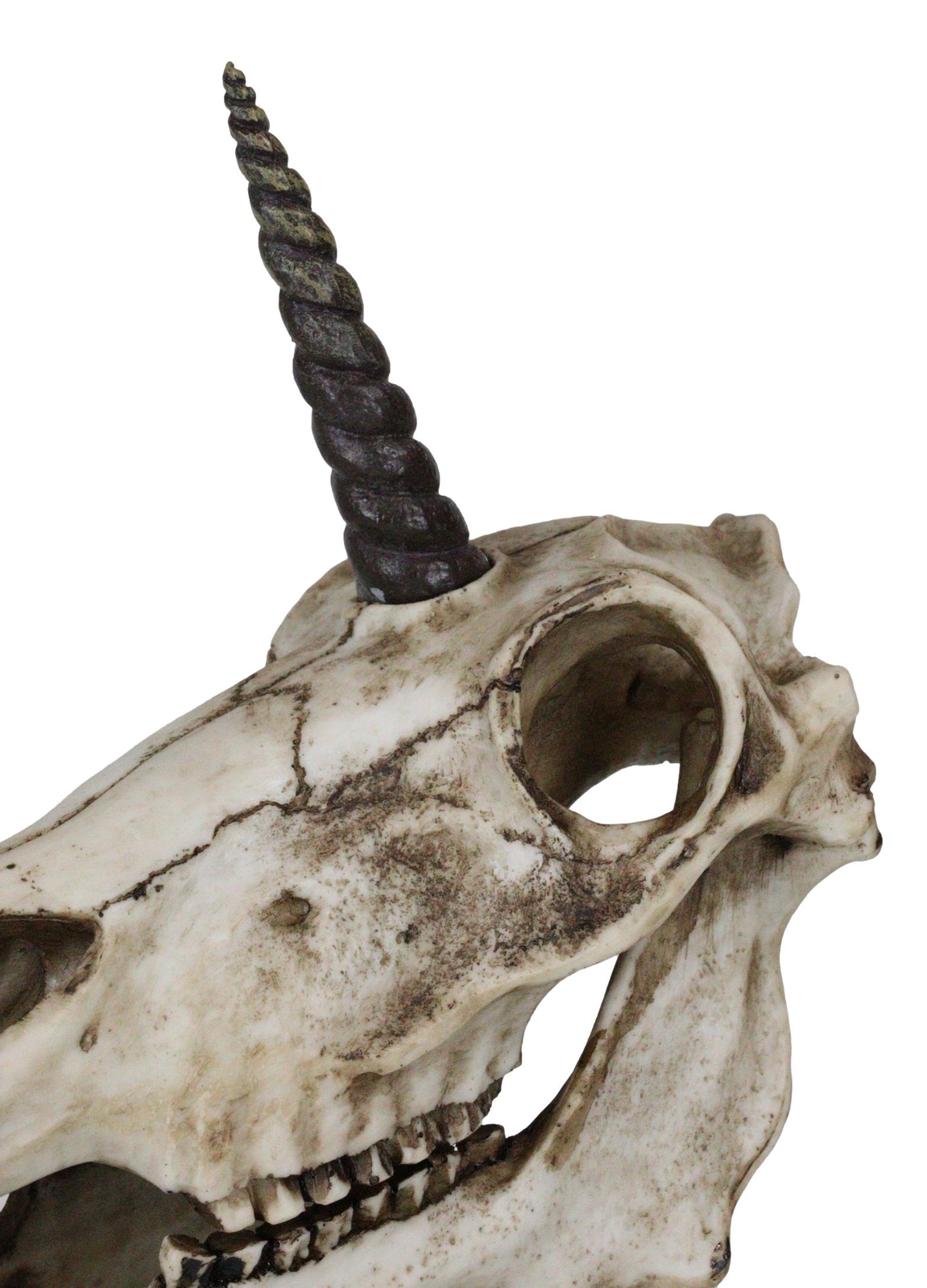 Rare Fossil Unicorn Skull With Sacred Horn Skull Figurine On Museum Pole Mount