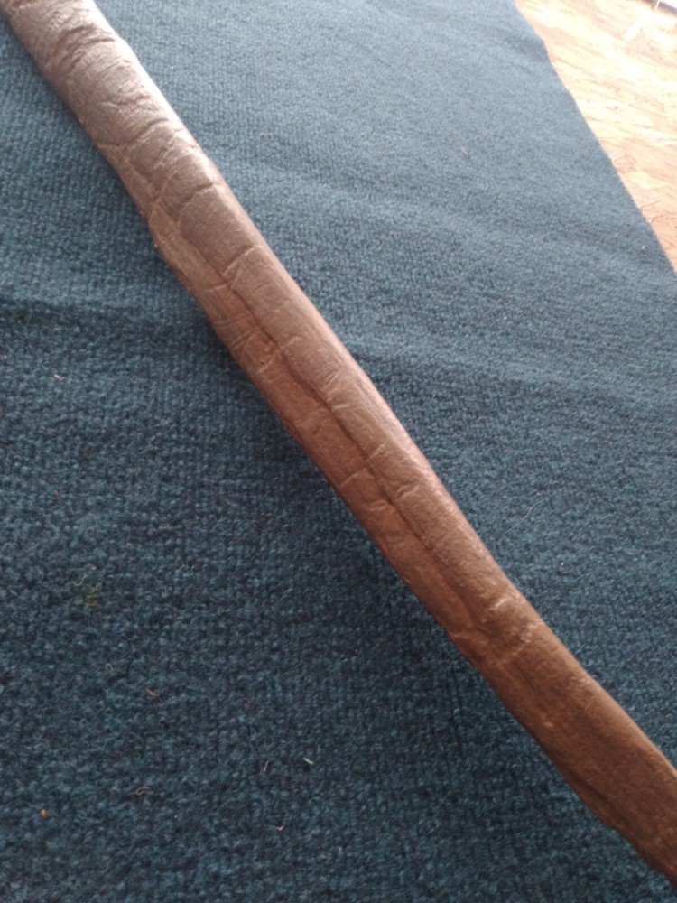 Triceratops Rib with Pathologies! cast replica