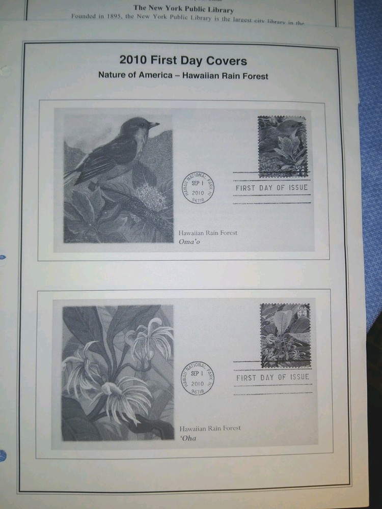 New York History 21 Clean Album Pages For Stamps/Covers Mystic Co. 2020 New