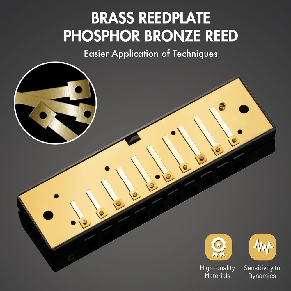 CONJURER Silver Blues Harmonica for Beginners 10 Hole Diatonic Harmonica Key C