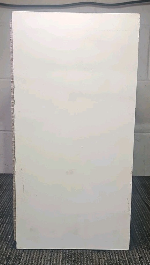 Dynaco A-25 Speaker Pair - White