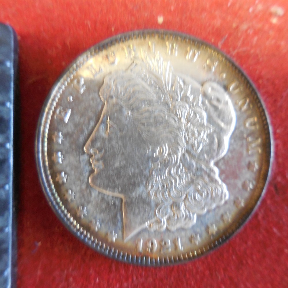 1921 Morgan Silver Dollar - Toning
