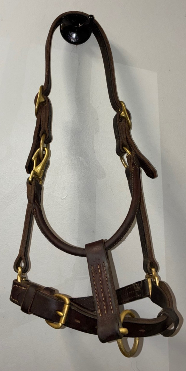 WEAVER LEATHER THICK TRIPLE STITCHED HORSE SIZE HALTER