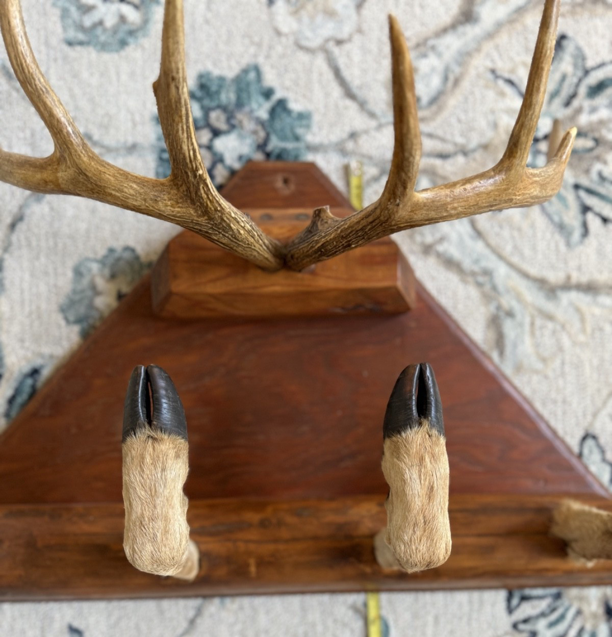 Vintage Taxidermy Deer Antler Hoof Coat Rack Hat Rack Man Cave Bar