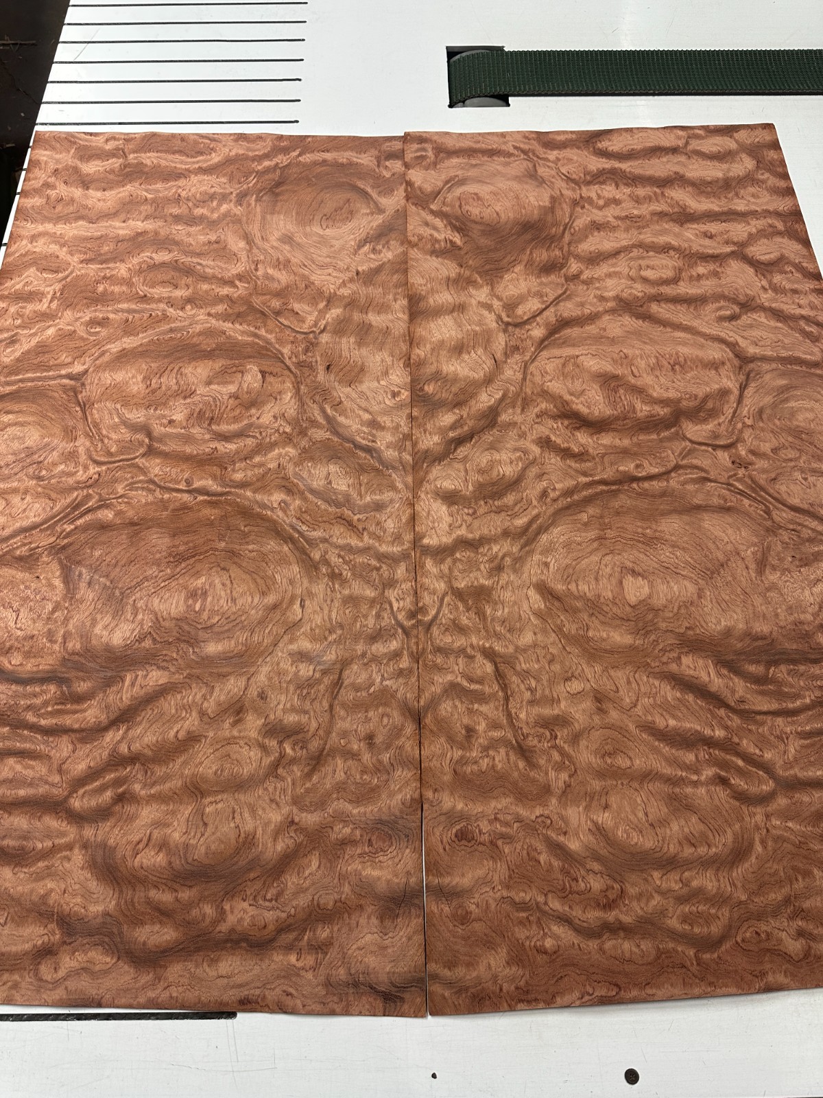 Bubinga Raw Wood Veneer ONE sheet 45'' x 21'' 317J