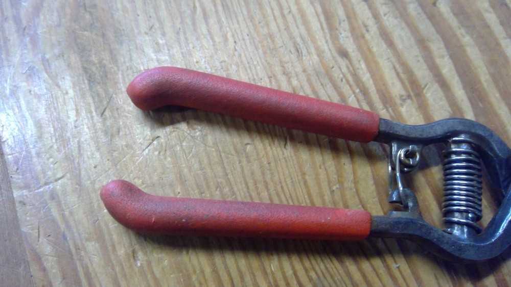 7 1/2" Needle Nose Fruit Pruners Cutters FREE SHIP